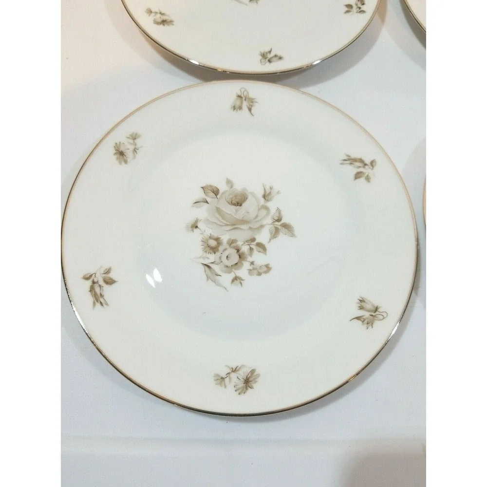 Bavaria Tirschenreuth Germany Pasco Newport 4011 Bread Dessert Plates Brown Rose